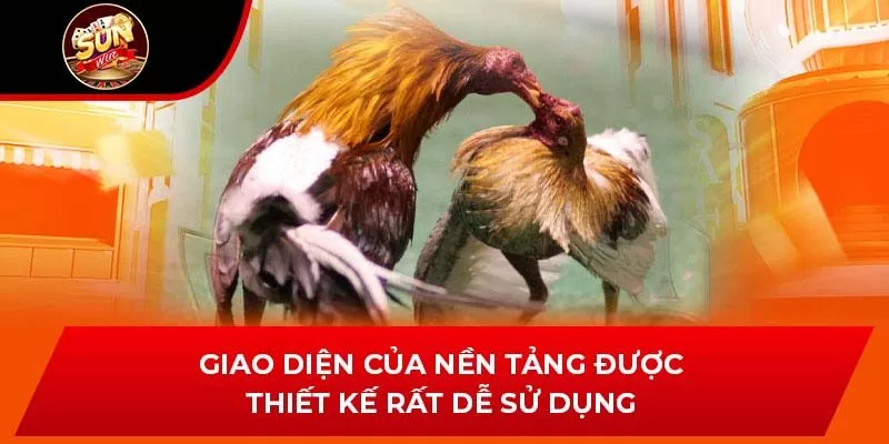 Giao diện của nền tảng được thiết kế rất dễ sử dụng