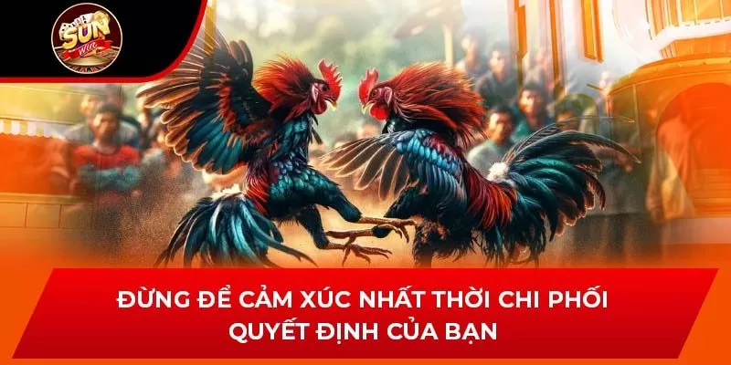 Đừng để cảm xúc nhất thời chi phối quyết định của bạn